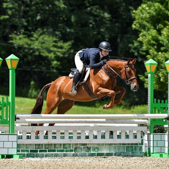 Images Sunflower Meadows Equestrian