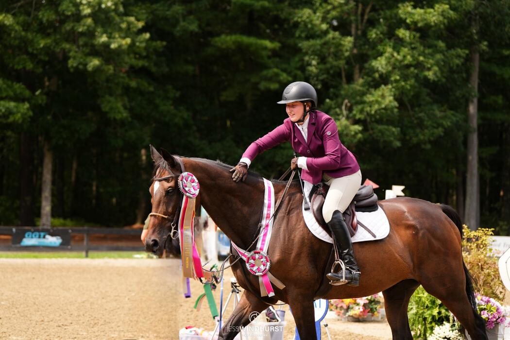 Images Sunflower Meadows Equestrian