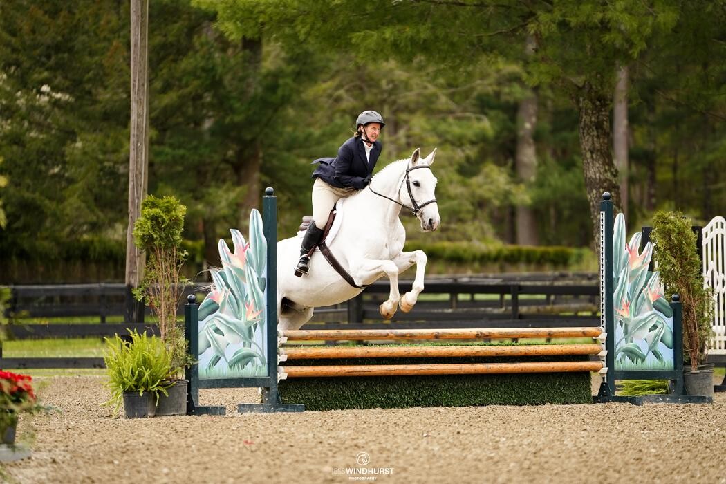 Images Sunflower Meadows Equestrian
