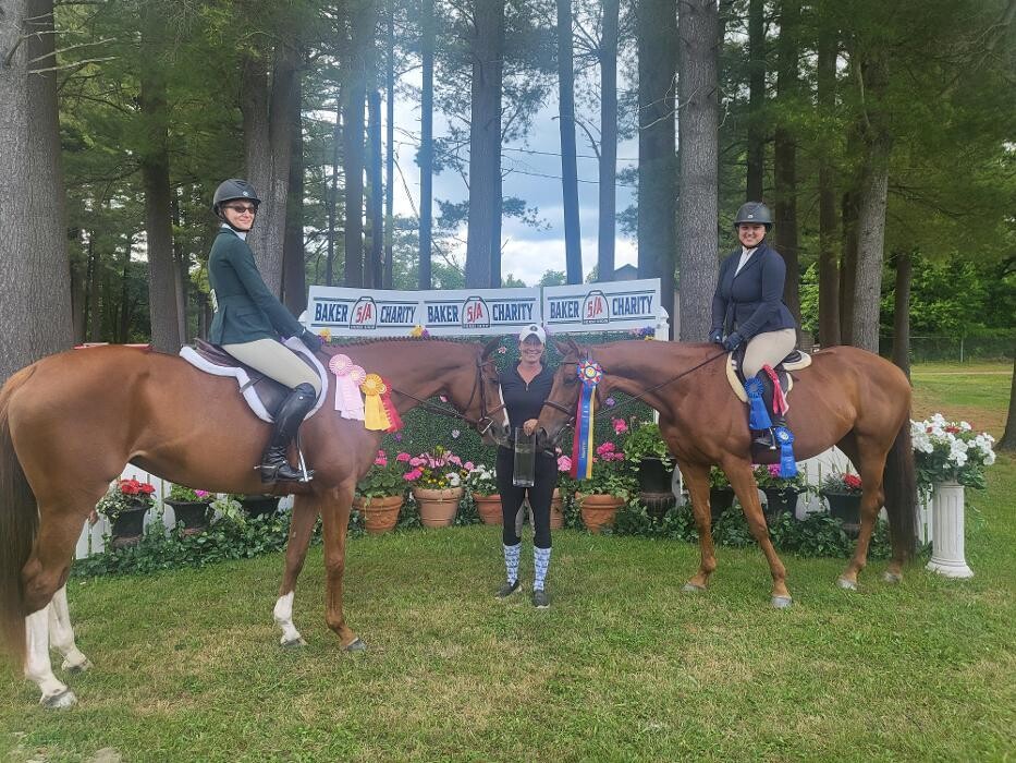 Images Sunflower Meadows Equestrian