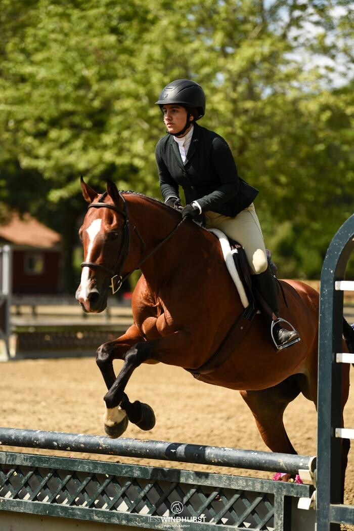 Images Sunflower Meadows Equestrian