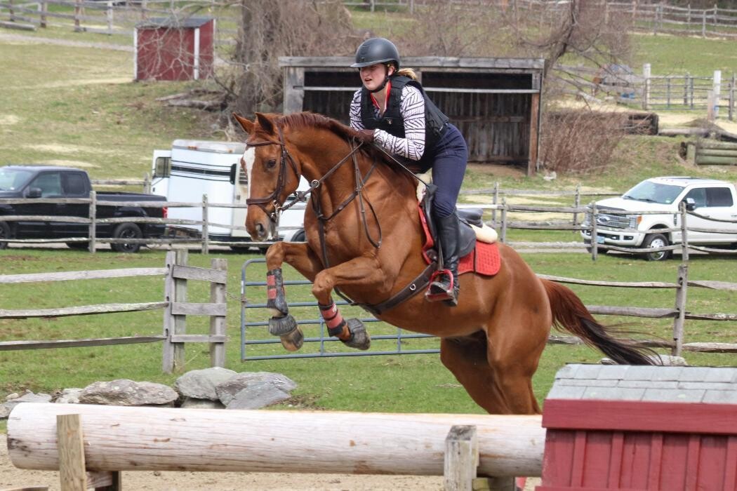 Images Sunflower Meadows Equestrian