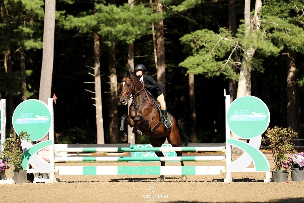 Images Sunflower Meadows Equestrian