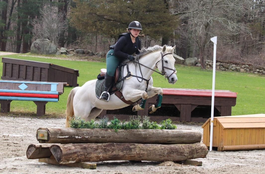 Images Sunflower Meadows Equestrian