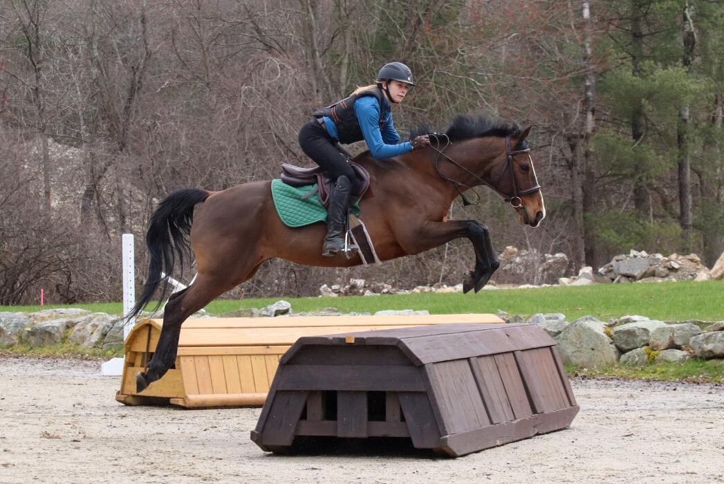 Images Sunflower Meadows Equestrian