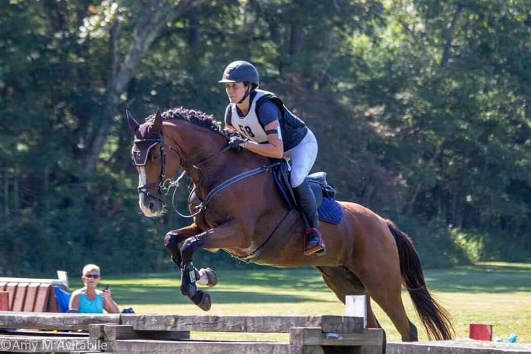 Images Sunflower Meadows Equestrian