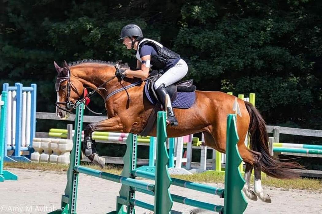 Images Sunflower Meadows Equestrian