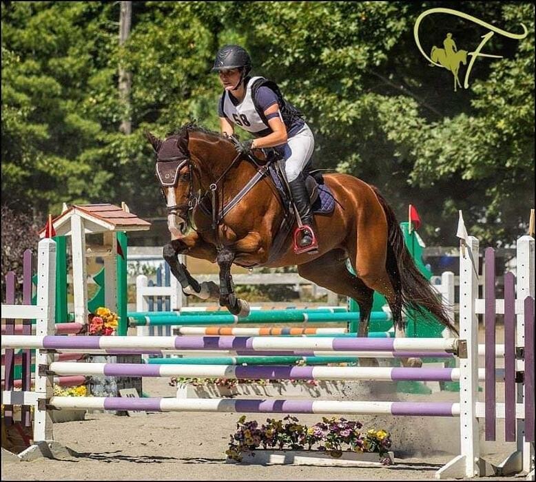 Images Sunflower Meadows Equestrian