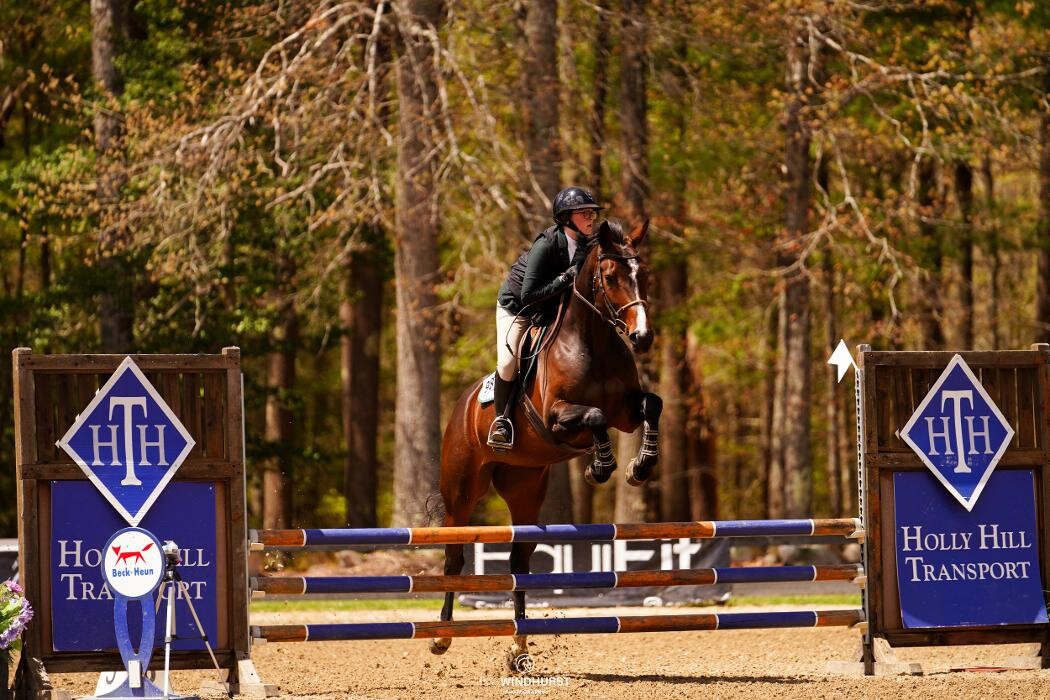 Images Sunflower Meadows Equestrian