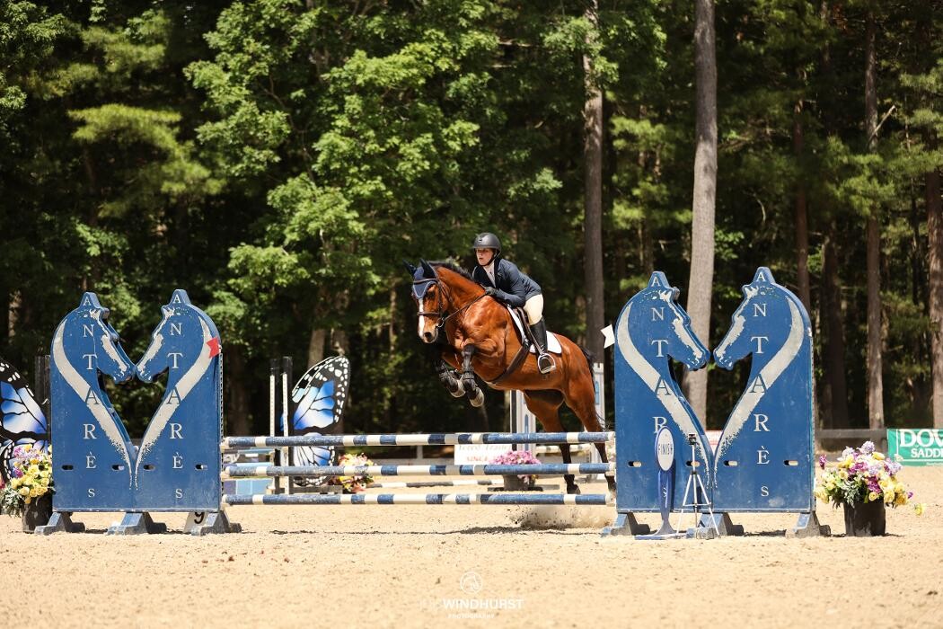 Images Sunflower Meadows Equestrian