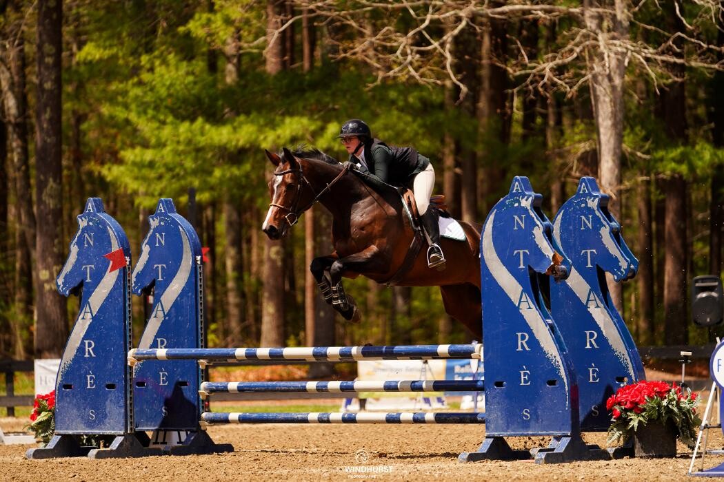 Images Sunflower Meadows Equestrian