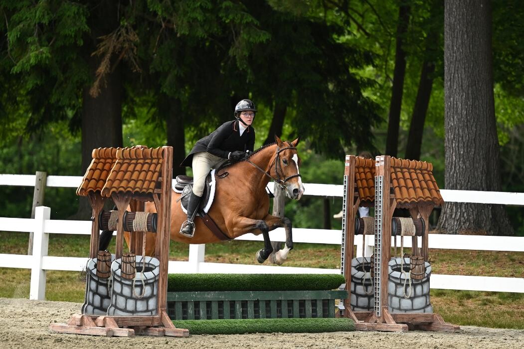 Images Sunflower Meadows Equestrian