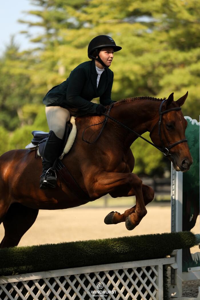 Images Sunflower Meadows Equestrian