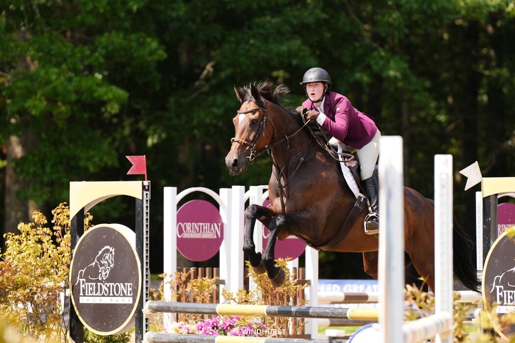 Images Sunflower Meadows Equestrian