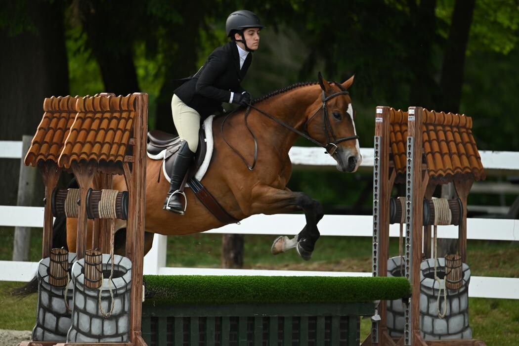 Images Sunflower Meadows Equestrian