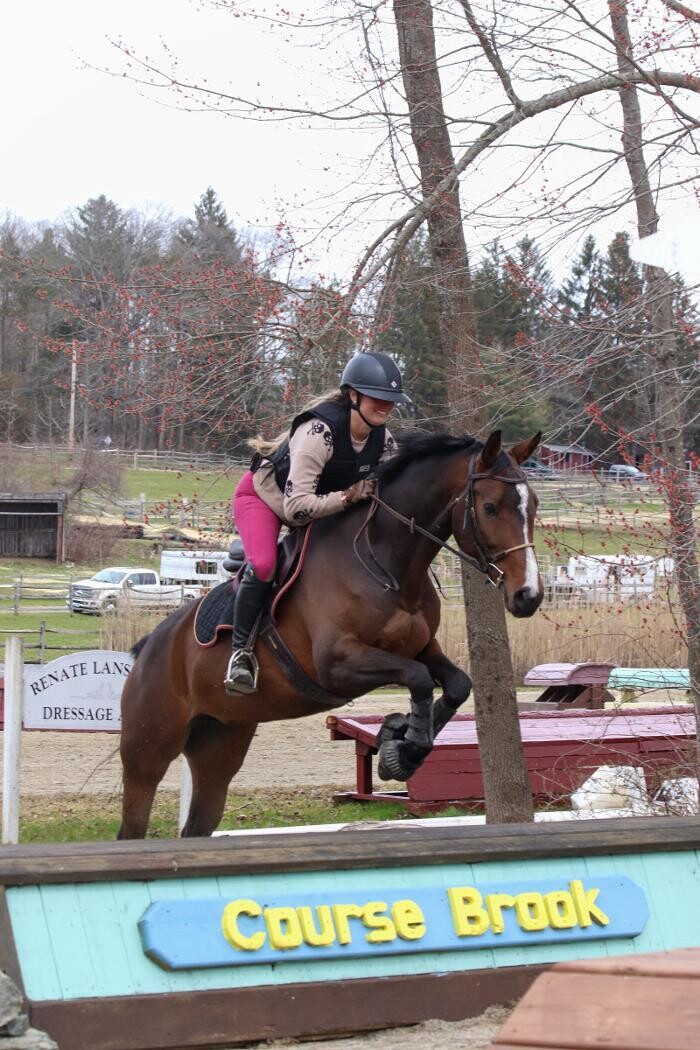 Images Sunflower Meadows Equestrian