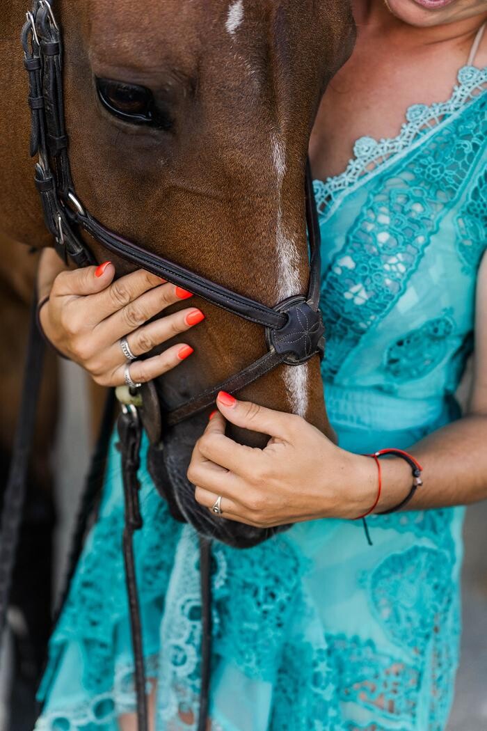 Images Sunflower Meadows Equestrian