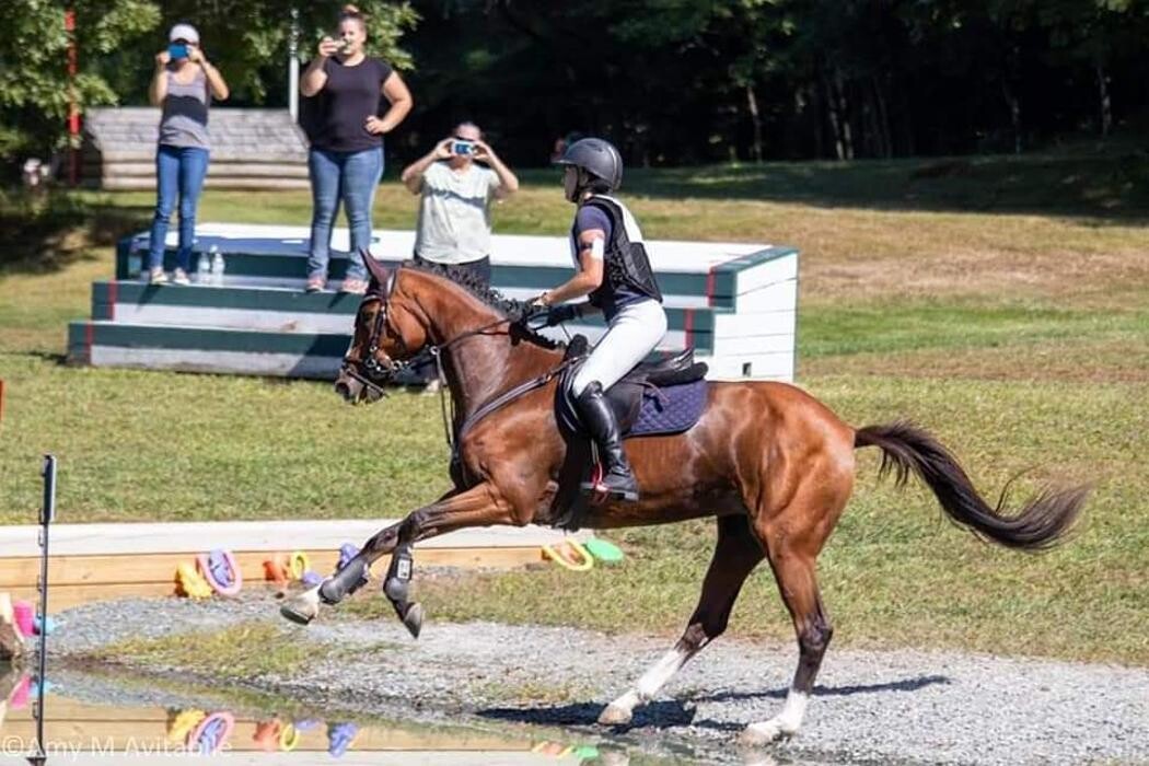 Images Sunflower Meadows Equestrian
