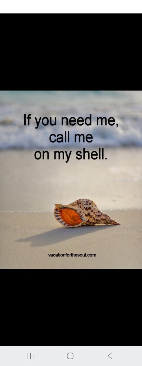 Images The Beach Tanning Co. & Wellness Center