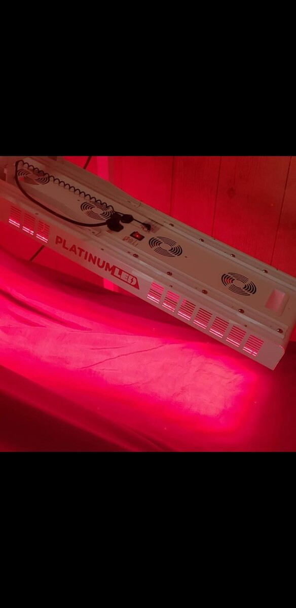 Images The Beach Tanning Co. & Wellness Center