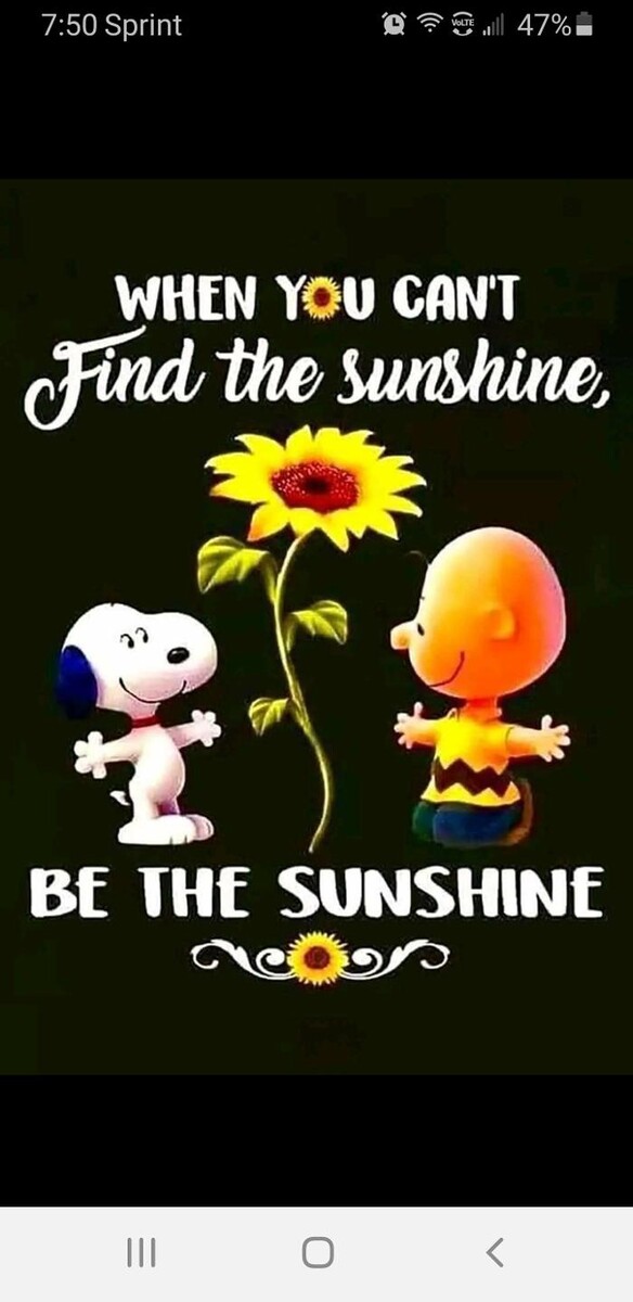 Images The Beach Tanning Co. & Wellness Center