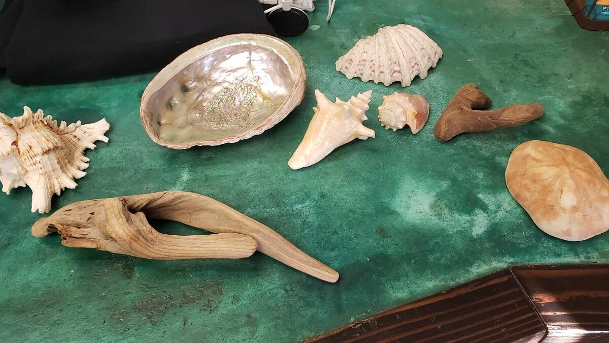 Images The Beach Tanning Co. & Wellness Center