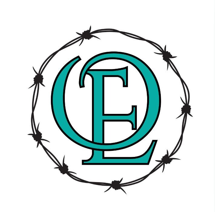 Outlaw Elegance Boutique Logo