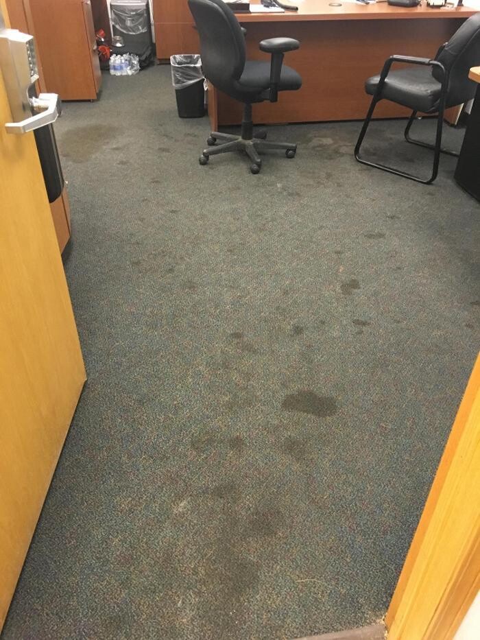 Images A Team Cleaning