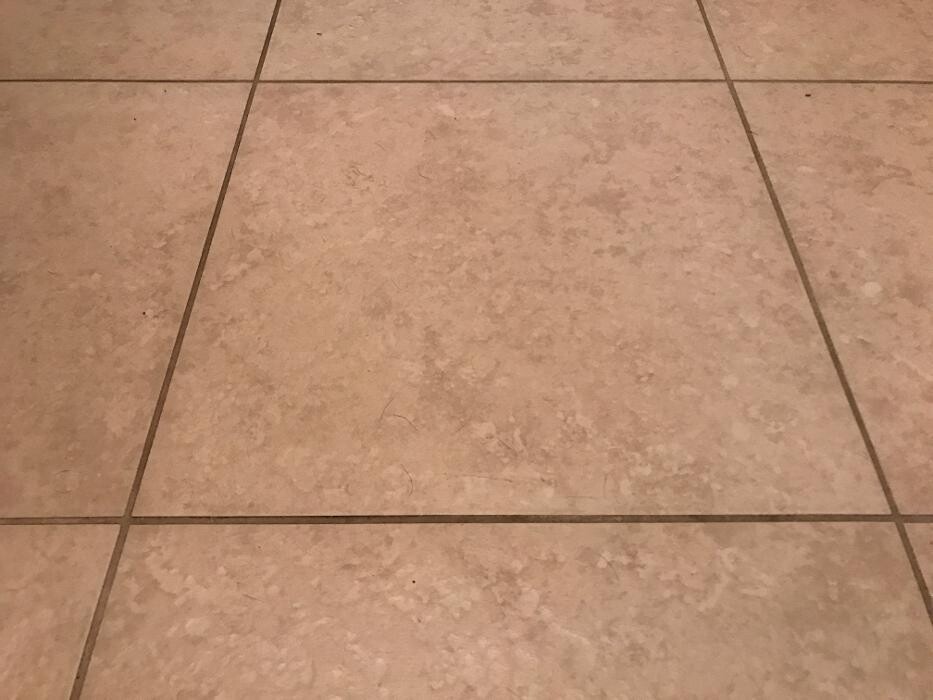 Images A Team Cleaning