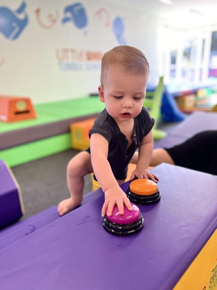 Images Little Whale Tumble School