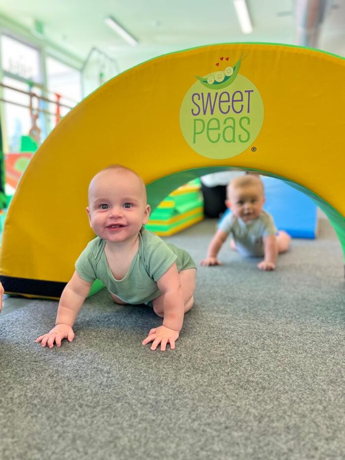 Images Little Whale Tumble School