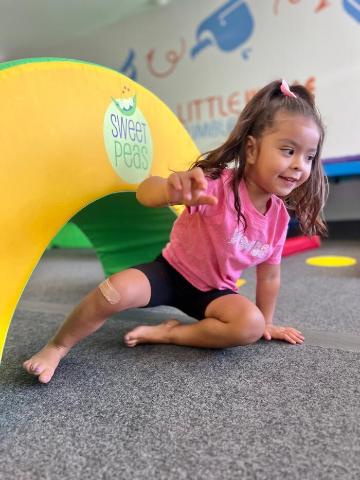 Images Little Whale Tumble School