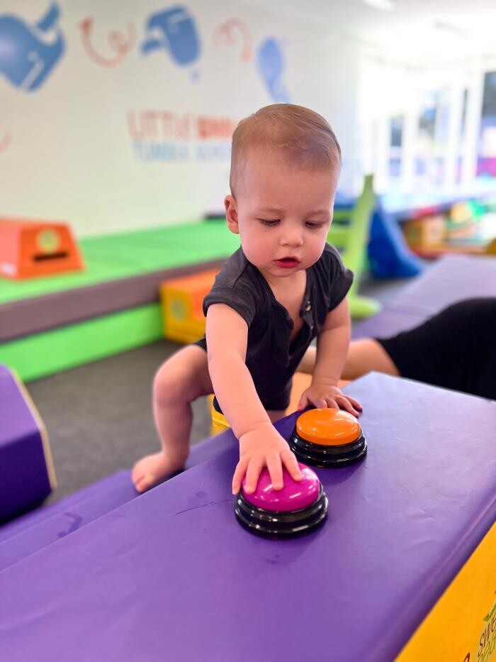 Images Little Whale Tumble School