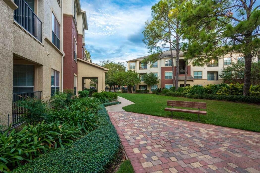 Images Oasis at Piney Point