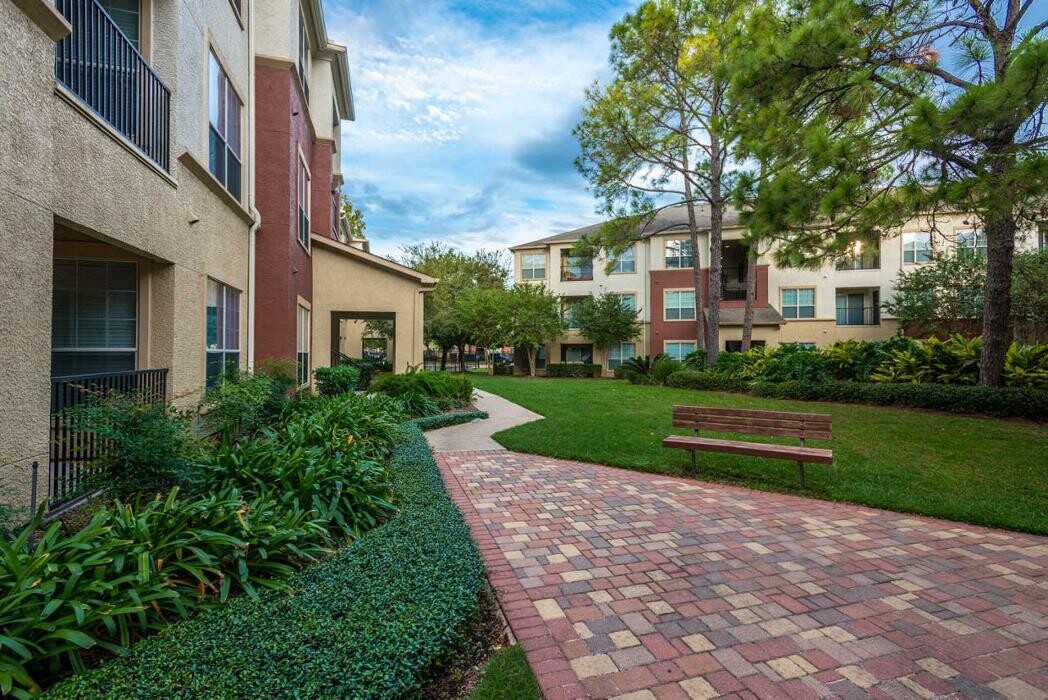 Images Oasis at Piney Point