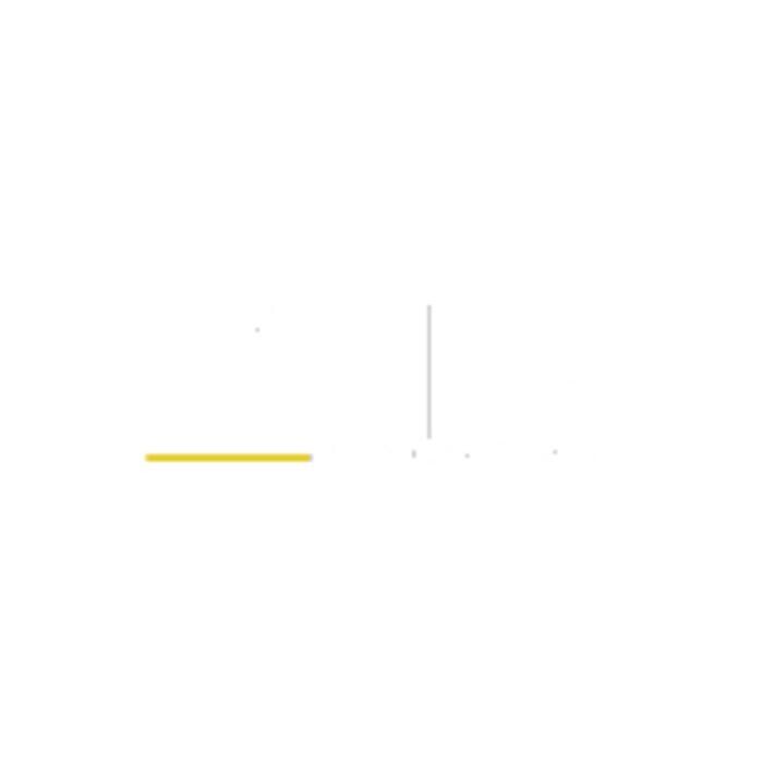 ALFA Construction Guys LLC Logo