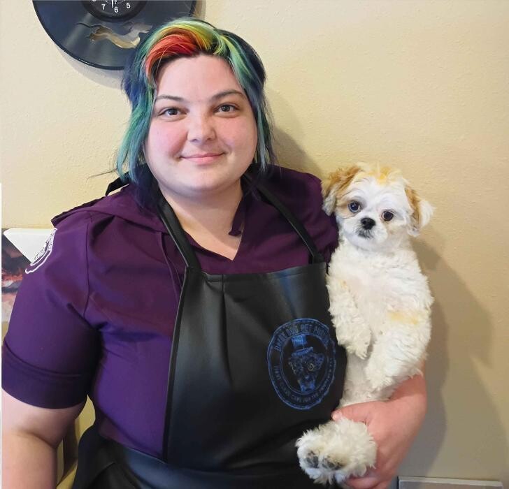 Images Dandy Dog Pet Parlor