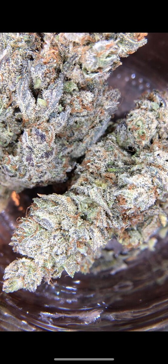 Images SNAXLAND - High Street