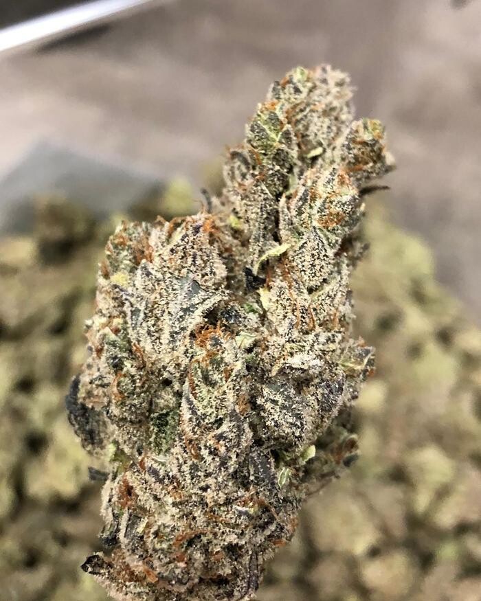 Images SNAXLAND - High Street