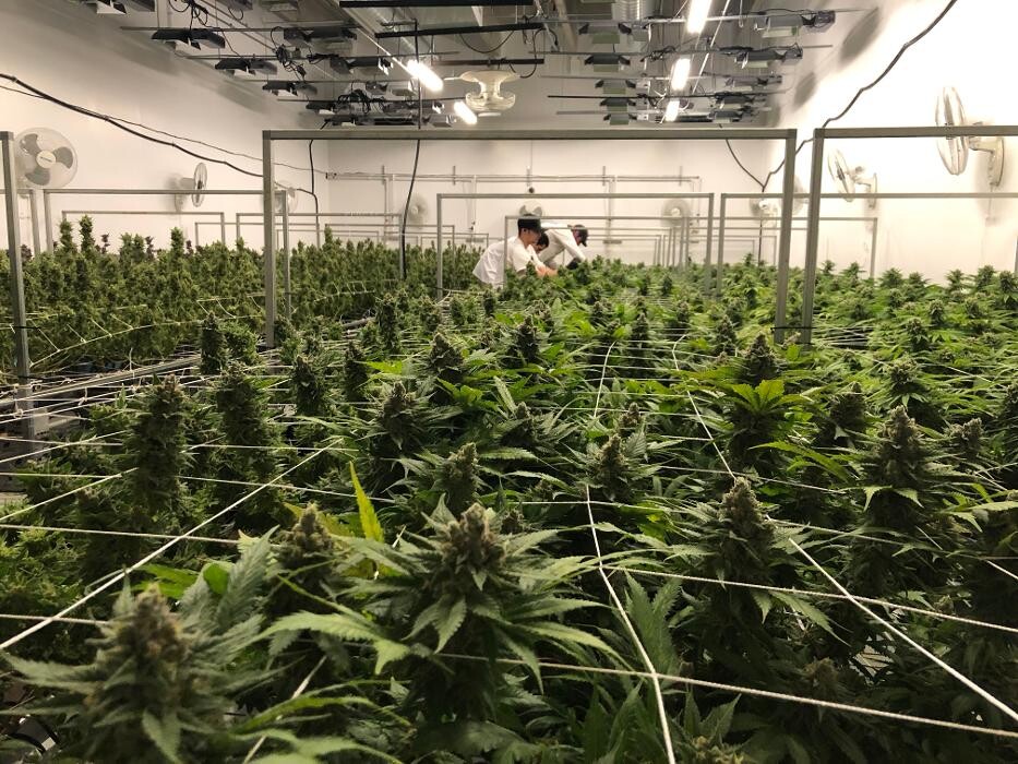 Images SNAXLAND - High Street