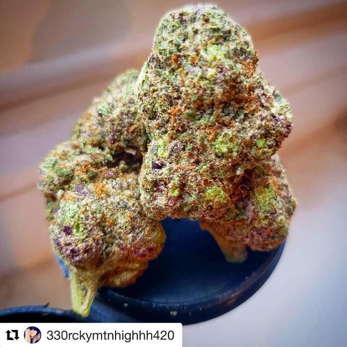 Images SNAXLAND - High Street