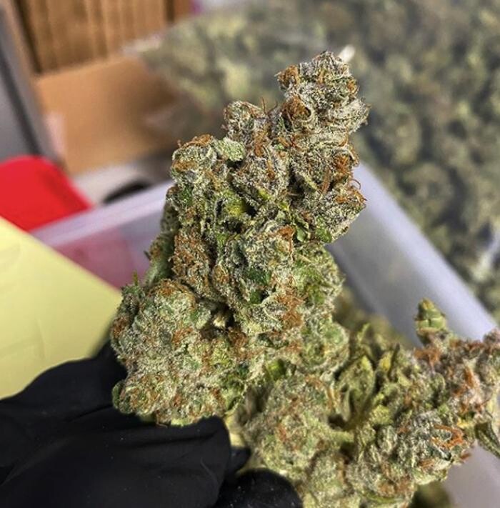 Images SNAXLAND - High Street