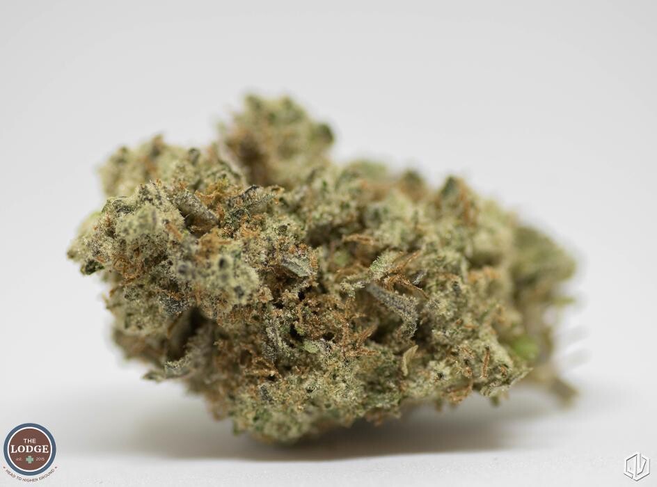 Images SNAXLAND - High Street