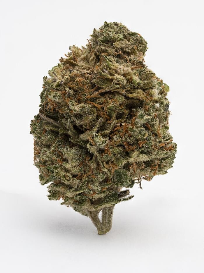 Images SNAXLAND - High Street