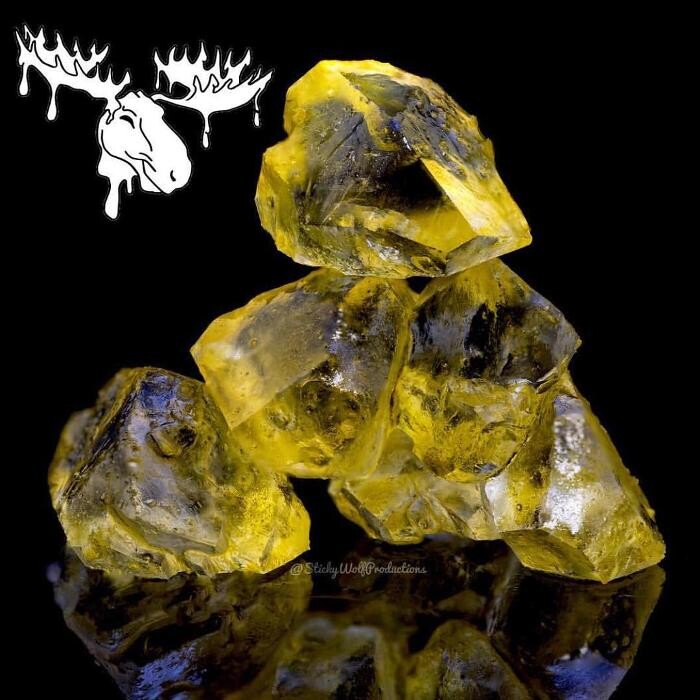 Images SNAXLAND - High Street