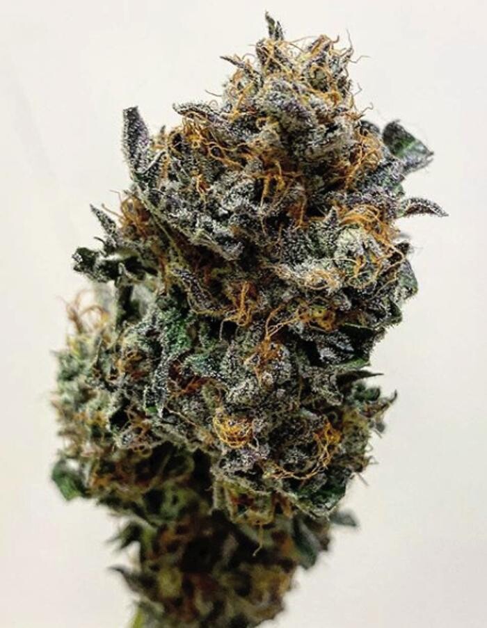 Images SNAXLAND - High Street