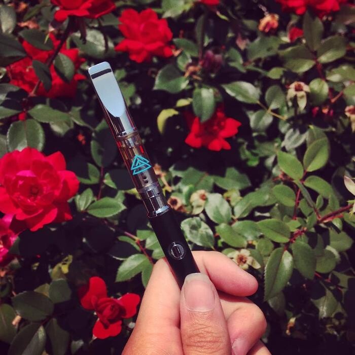 Images SNAXLAND - High Street