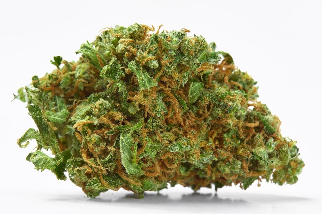 Images SNAXLAND - High Street