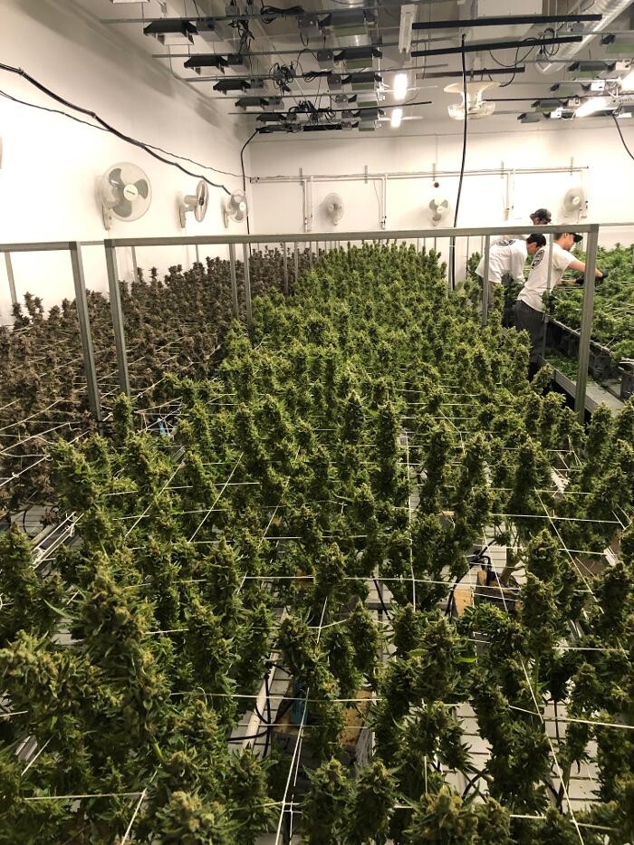 Images SNAXLAND - High Street