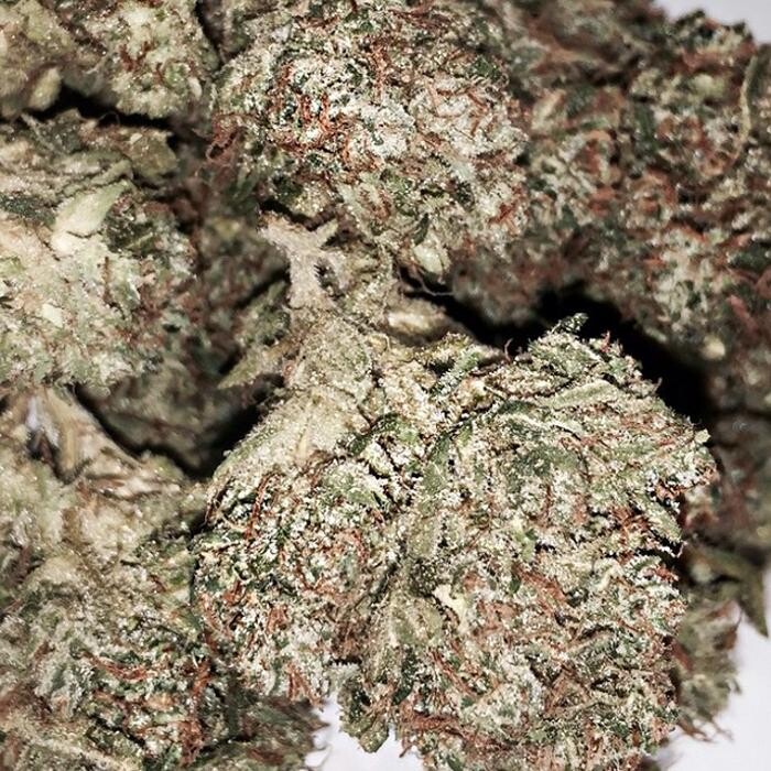 Images SNAXLAND - High Street